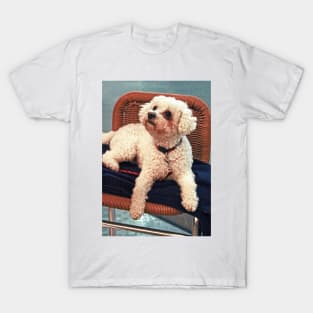 Little White Poodle T-Shirt